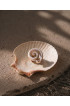 Bali Handmade Shell Rings